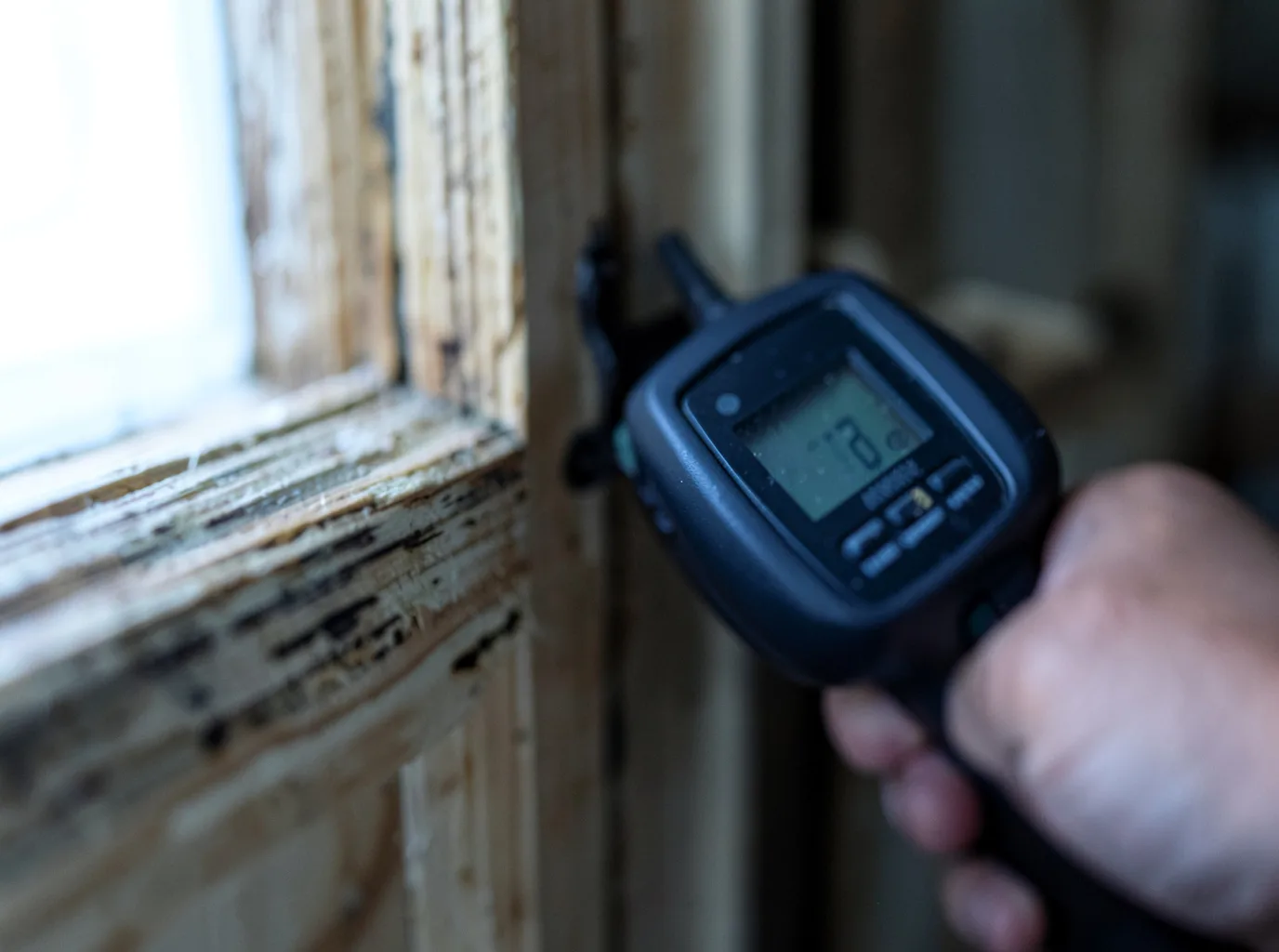 Moisture Inspection And Documentation in Holden, UT